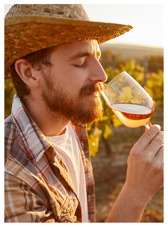 Échappées belles au cœur des vignes