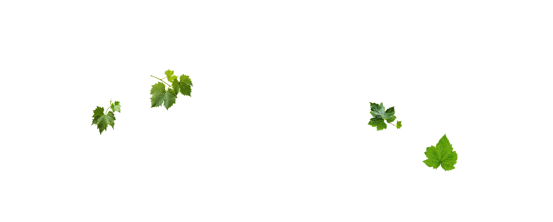 Excellence et tradition 1