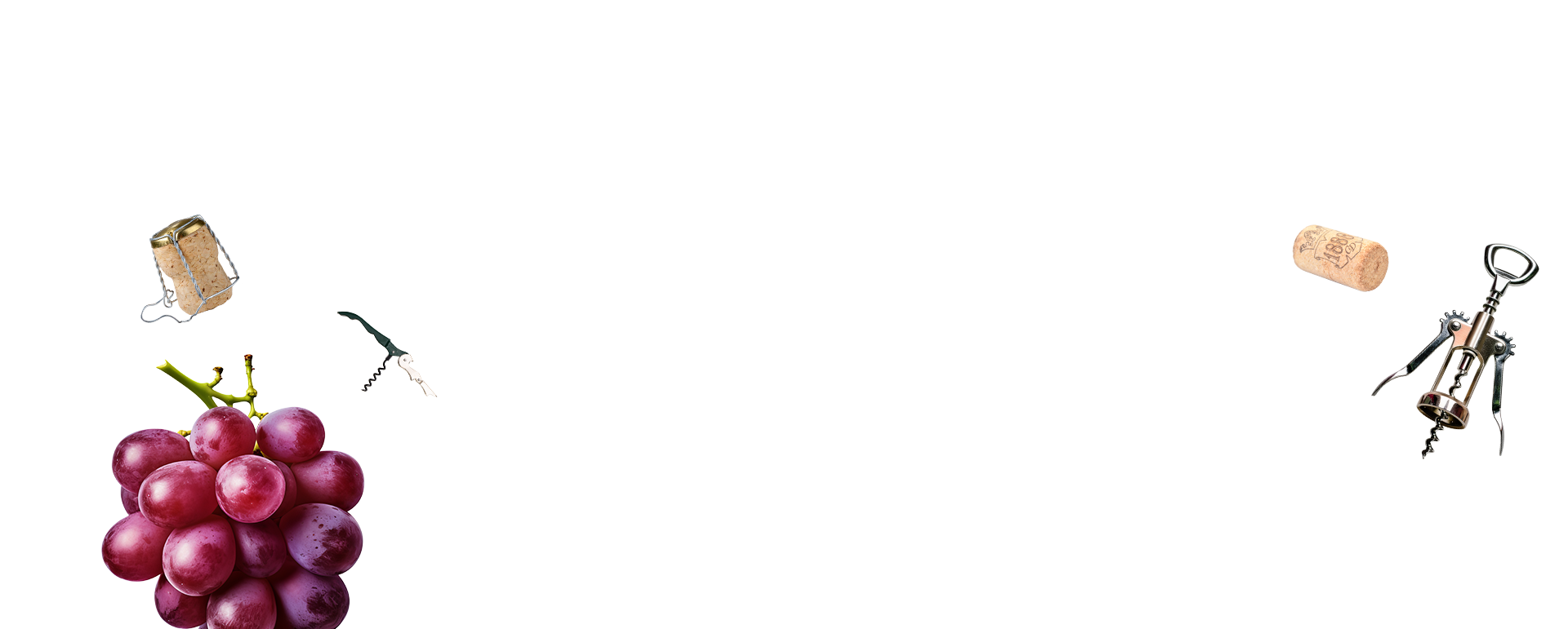 Excellence et tradition 2